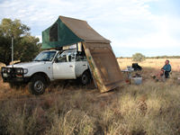 Morning light at our bushcamp on the Hamilton River